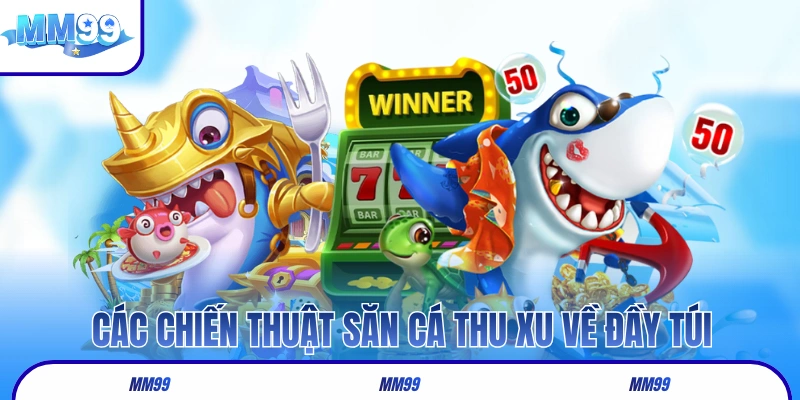 Các chiến thuật săn cá thu xu về đầy túi