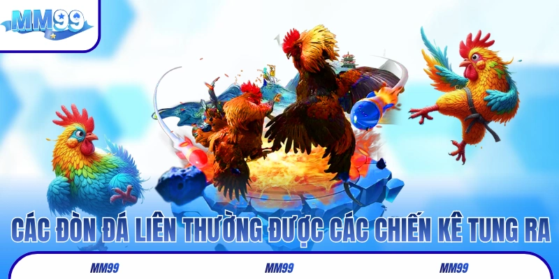 Các đòn đá liên thường được các chiến kê tung ra