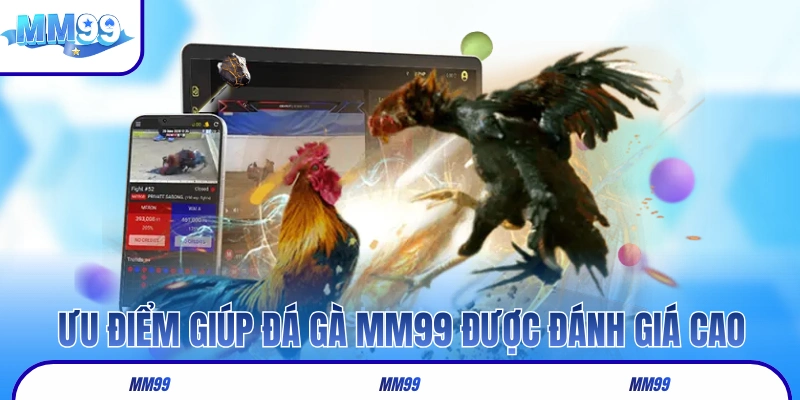 Những ưu điểm giúp đá gà MM99 được đánh giá cao