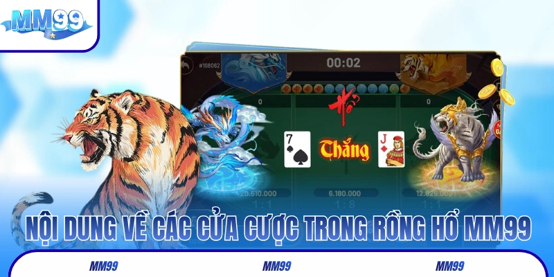 Nội dung về các cửa cược trong Rồng Hổ MM99