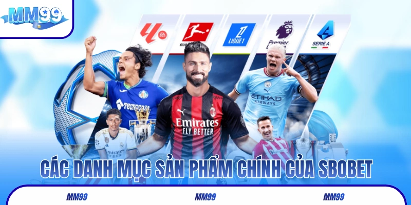 Các danh mục sản phẩm chính của thương hiệu SBOBET MM99