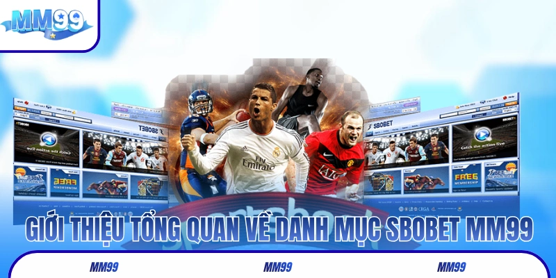 Giới thiệu tổng quan về danh mục SBOBET MM99