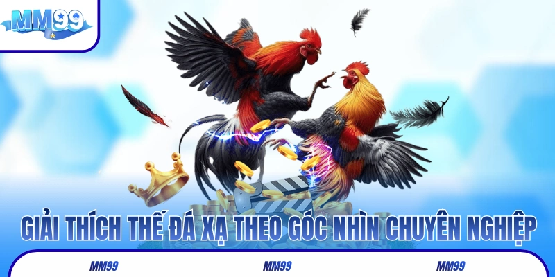 Giải thích thế gà đá xạ theo góc nhìn chuyên nghiệp